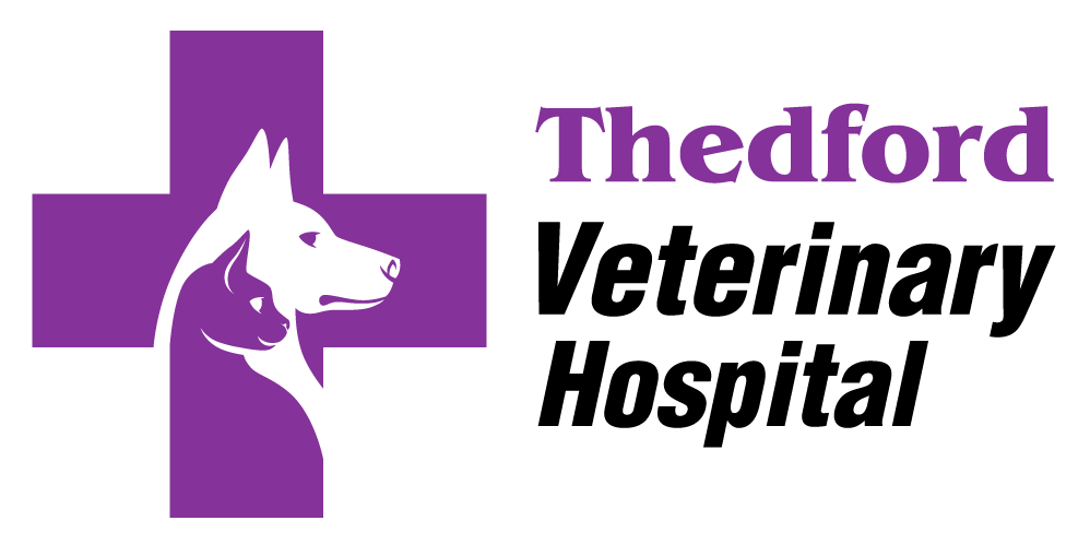 Thedford Veterinary Hospital