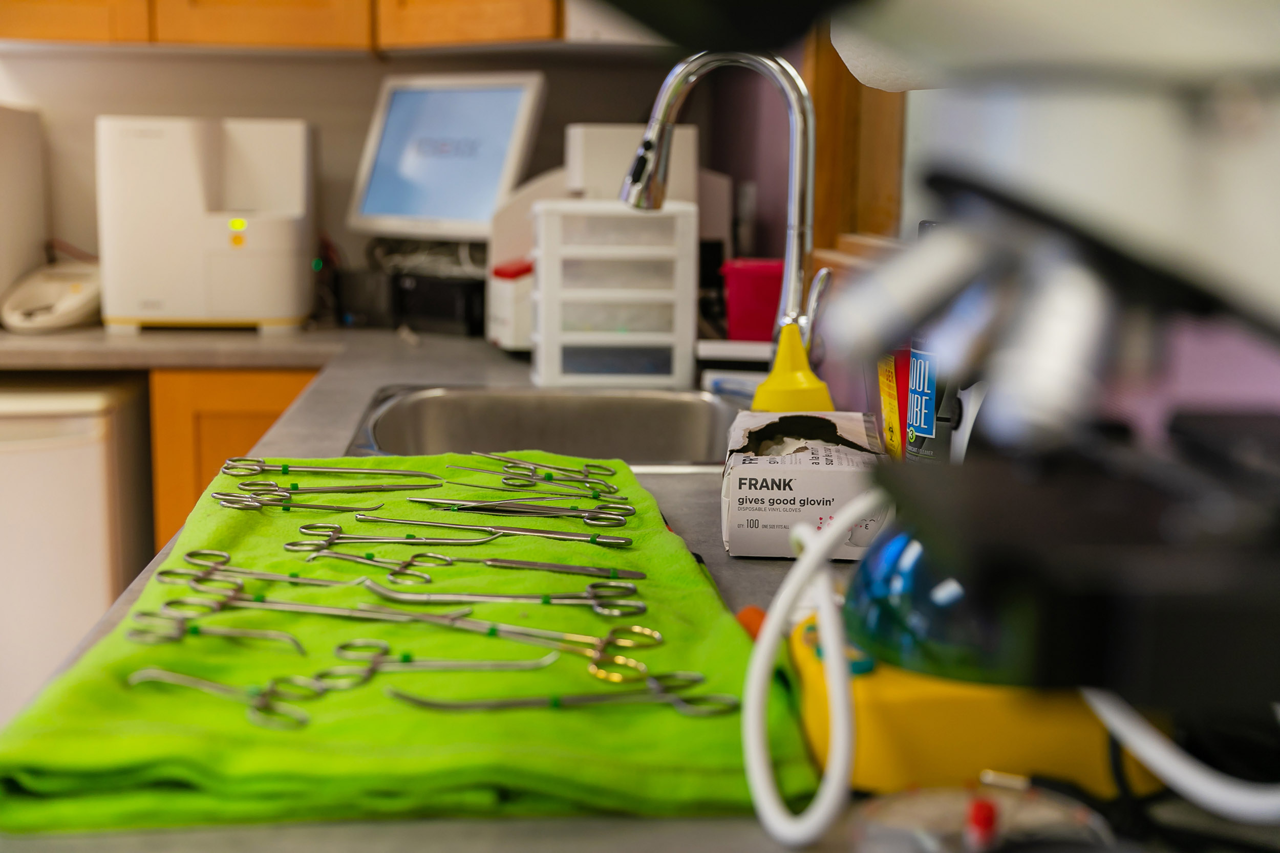 Surgical instruments laid out on a green towel at Thedford Veterinary Hospital