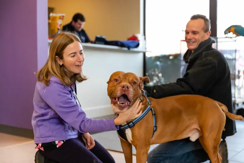 Thedford Veterinary Hospital staff greeting a client and their dog