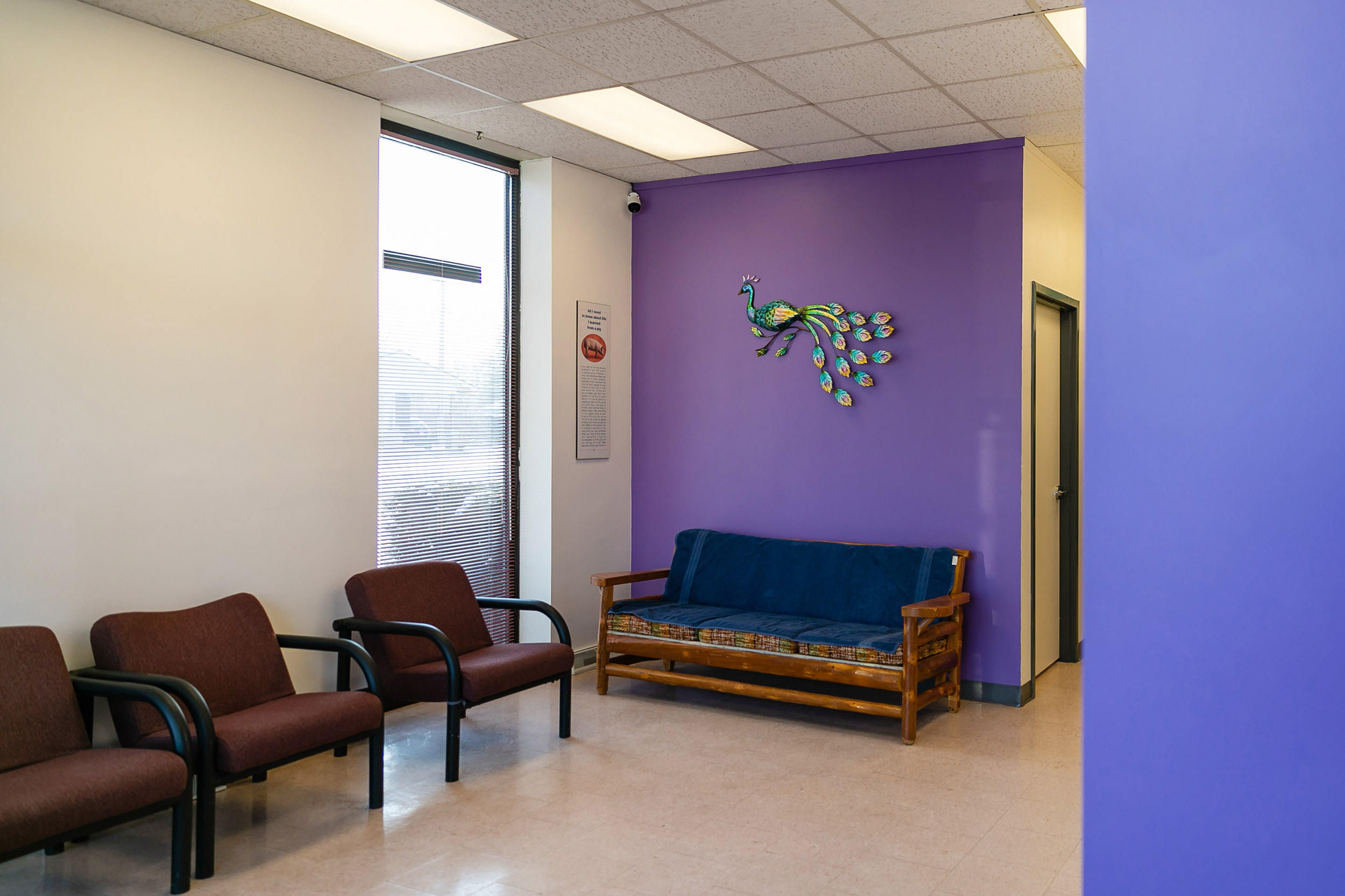 Waiting room with a purple feature wall at Thedford Veterinary Hospital